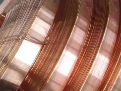 渤海钢材现货有限公司：唐雪实力企业专访
